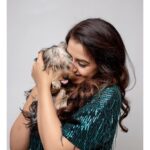 Nikki Galrani Instagram - Best thing that happened to me in 2020 🐾♥️✨ #Hulk @thepawsomeboys Pc : @kiransaphotography