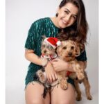 Nikki Galrani Instagram - Pawsitive Vibes only 🐾♥️✨ @thepawsomeboys Pc : @kiransaphotography