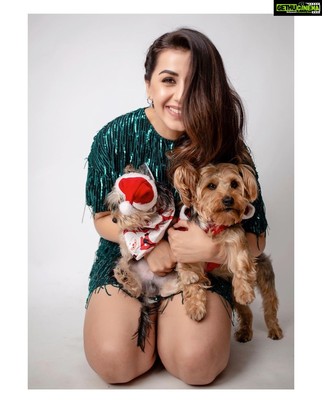 Nikki Galrani Instagram - Me & Mine🐾♥️✨ @thepawsomeboys Pc : @kiransaphotography