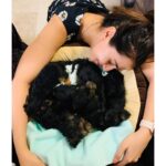 Nikki Galrani Instagram - Two Steps to Happiness : 1. Get A Dog 2. Get More Dogs 🐶