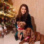 Nikki Galrani Instagram - We Woof you all a Merry Christmas♥️✨ Make up & Hair by @bride_over Styled by @prathishta Shot by @mithrukumar #MerryChristmas 🎄 #SantaPaws #SantaBabies 🎅🏻
