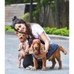 Nikki Galrani Instagram - These two Mastering the Art of Posing & how 🤷🏻‍♀️🤔🤣 #Champ #KingKong #SuchPosers #DogMom P.C - @chennaitimestoi @praveentyagarajan @sharanya_cr