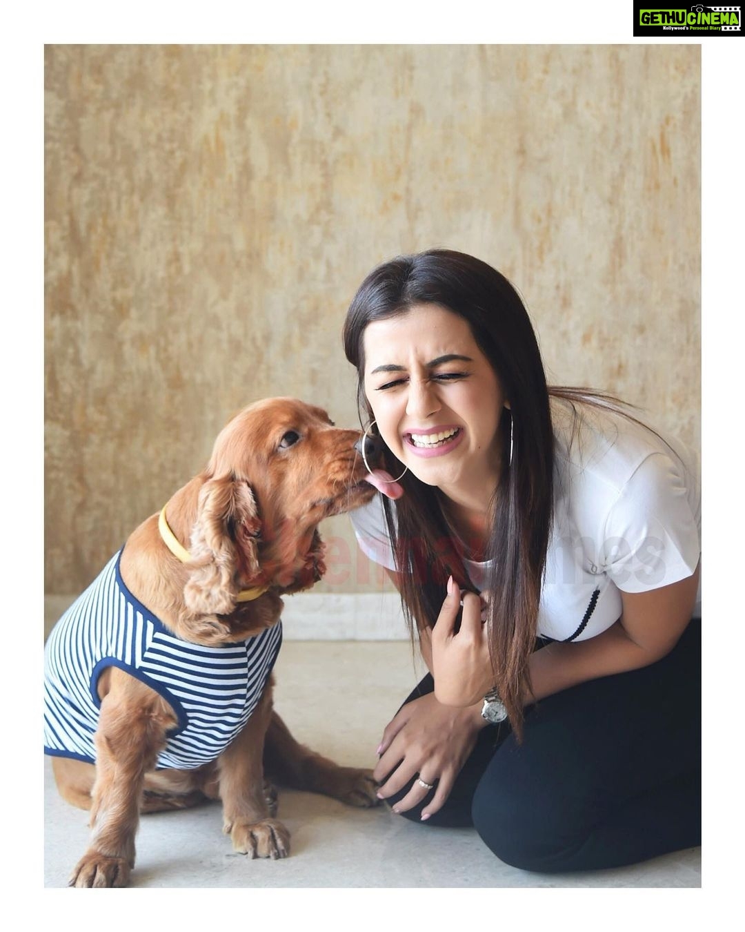 Nikki Galrani Instagram - Never underestimate the power of a Sloppy Kiss & a Wet Nose ♥️🐶 #Champion #Champ P.C - @chennaitimestoi @praveentyagarajan @sharanya_cr