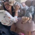 Nikki Galrani Instagram – Rockin’ the #DogMom life 🐾

@thepawsomeboys 🐶

#hulk #kingkong #yorkie #reels #dogsofinstagram