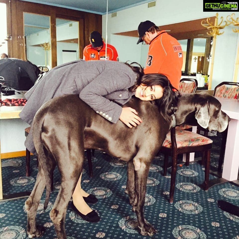 Nikki Galrani Instagram - #Love is a four legged word 🖤 🐾 🐾 #MajorThrowback Switzerland