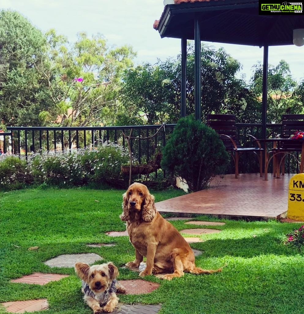 Nikki Galrani Instagram - Those who teach us the most about #Humanity aren’t always Humans ❤️ #MyLifelines #SuchPosers #Champ #KingKong #DogsOfInstagram #CutenessOverload Ooty