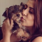 Nikki Galrani Instagram - The truest of all forms of Love 🤗❤ #PuppyLove #DogLove #TeaCupYorkie #KingKong #DogLover
