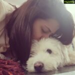 Nikki Galrani Instagram - Coming home to this one after 6 months ❤❤❤ #MyLove #Bangalore #Rocher #Poser