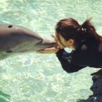 Nikki Galrani Instagram - That feeling when u finally live ur long awaited moment with the cutest being ever 💋💋💋❤❤❤ #DolphinLove #ScoobyLove #TBT Sea World San Diego