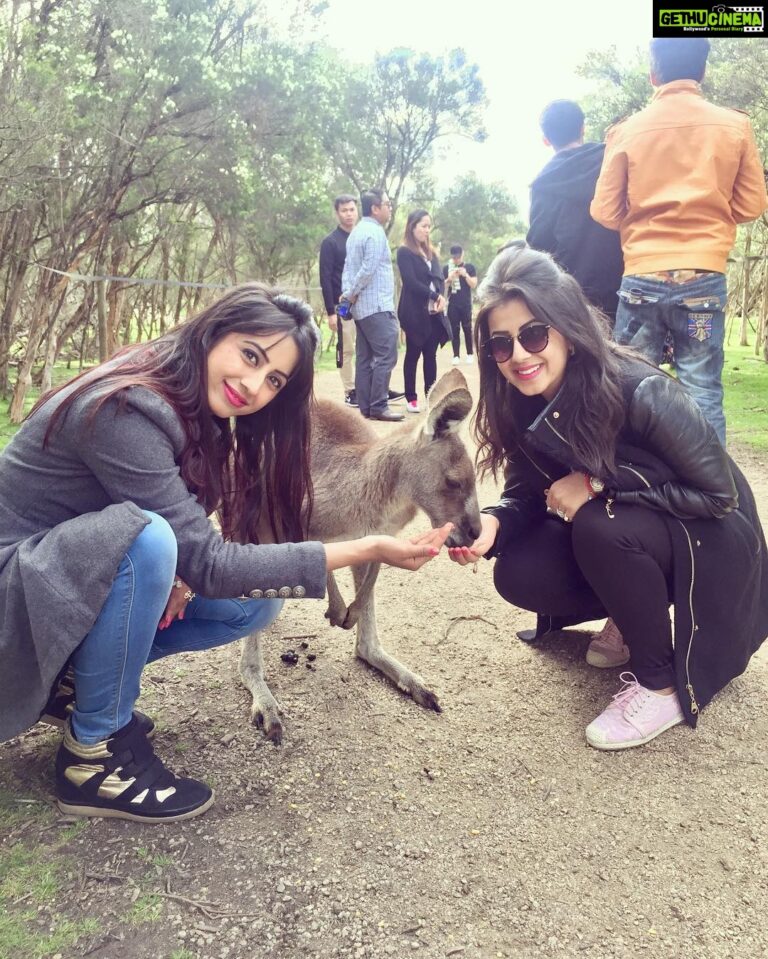 Nikki Galrani Instagram - #Kangaroo #LovedIt #Australia #TravelDiaries #Melbourne 💖