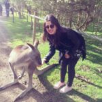 Nikki Galrani Instagram – #Kangaroo #LovedIt #Australia #TravelDiaries #Melbourne 💖