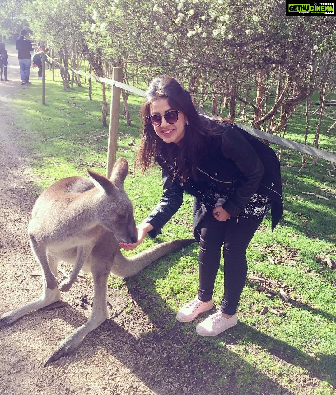 Nikki Galrani Instagram - #Kangaroo #LovedIt #Australia #TravelDiaries #Melbourne 💖