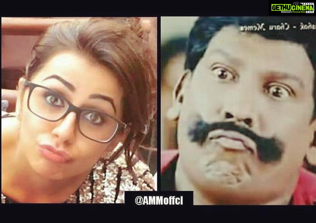 Nikki Galrani Instagram - My favourite meme in recent times 🤣