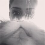Nivetha Pethuraj Instagram - My first #catbeard! Thank you #mushy for letting me do so.. #love #cats #humankitty #meow