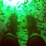 Nivetha Pethuraj Instagram - Fish attack