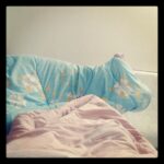 Nivetha Pethuraj Instagram - #firstpic #instagram #cozy #blanket
