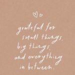 Nivetha Pethuraj Instagram - Just trust the process 🤍 #gratitude