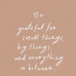 Nivetha Pethuraj Instagram – Just trust the process 🤍 #gratitude