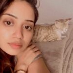 Nivetha Pethuraj Instagram - Mariyatha theriyadha payapula.. disrespectful cat.. respect theliyani pilli.. قطة محترمة .. Ok bye. Ya’ll think it’s because of the name?