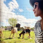 Pallavi Sharda Instagram - Looks like I still goat it. The Hamptons