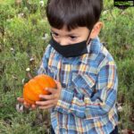 Panchi Bora Instagram - Pumpkin patch at school with these munchkins! 🎃 #mypumpkin