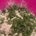 Parvathy Omanakuttan Instagram - One of the Indian foods from the super long list of my favorites - “made from scratch” undhiyu and jowar bhakri with mint. The combination of the two makes for a great meal for any food lover that wants to eat homemade delicious guilt free vegan plant based dinner or lunch It’s not just great for people who want to keep a check on their diabetes and sugar levels but also for those who have gluten sensitivity and are on the hunt for gluten-free recipes. This is also a tasty answer to all those foodies with the dilemma of not knowing to cook without the unhealthy fats. Since I am now part of the culinary development committee @diabetesindia.official for #diabetesawareness I thought this would be a great start. P.S. I have used jaggery in my recipe which can easily be substituted by stevia to balance the flavors. I have also added Brussels sprouts to my recipe to make up for the vegetables I couldn’t find for the traditional recipe. {Improvising comes natural to a chef} So Enjoy. Or should I say “Tamara bhojanano anand lo” (I already see my partner fainting after reading this …. Hahahahaha ). Special thanks to @upasanabijoor for challenging the chef in me and giving me the confidence to try out cooking without oil 🤗 #foodie #chef #foostagram #instafood #instantpot #paro #yummy #foodblogger #foodlover #cooking #cheflife #culinary #instachef #foodnetwork #foodnetworkkitchen #veganuary #veganlife #cookingathome #cookingforhealth #healthyrecipes #healthy #healthylifestyle #prochef #homefood #chefathome #recipeoftheday #recipes #cookingwithlove #love For more info on Undhiyo and Jowar check the comments section below 👇🏽