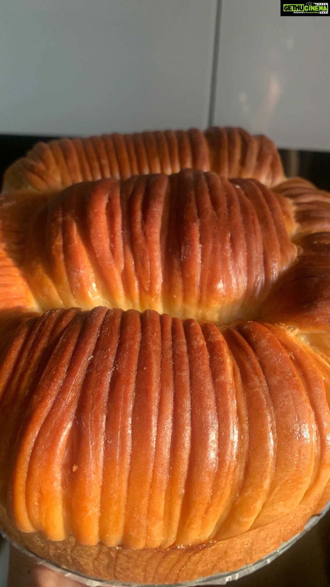 Parvathy Omanakuttan Instagram - Baking is a science ... and this is my favourite subject now 😛😜 Wool bread with a chocolate, raisin and pecan filling 👩🏽🍳#foodie #modelthateats #foodnetworkkitchen #baking #reels #Food #FoodPorn #Foodie #Foods #Foodstagram #Foodgasm #Foodies #FoodLover #FoodBlogger #InstaFood #FoodPics #FoodLovers #EatingForTheInsta #FoodLove #Food52 #FoodBeast #FoodArt #FoodSpotting #FoodBlogFeed #FoodOfTheDay #foodnetwork