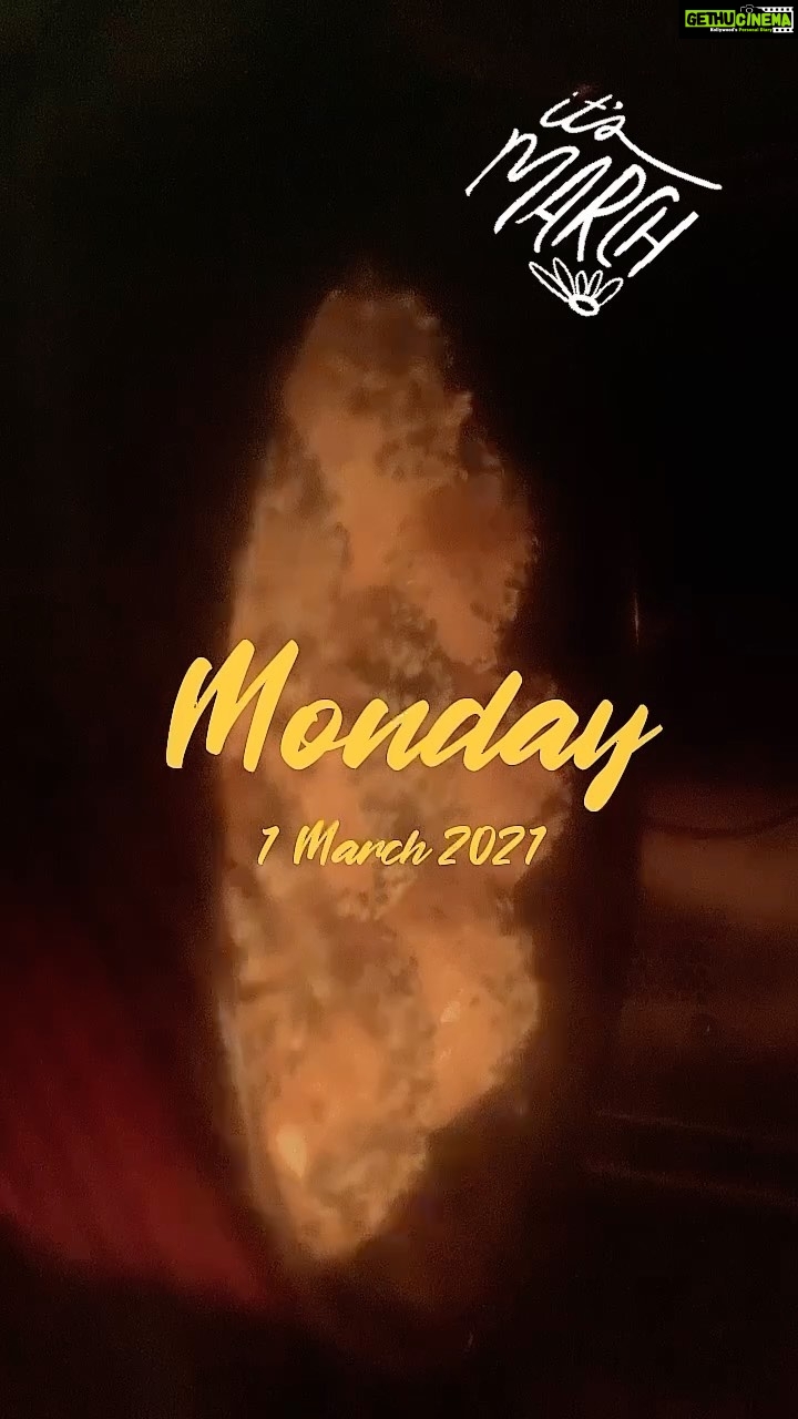 Parvathy Omanakuttan Instagram - Itβs Birthday Month π₯°...and the month to cook my heart out. π©π½βπ³#foodie #modelthateats #cheflife #baking #reels #Food #FoodPorn #Foodie #Foods #Foodstagram #Foodgasm #Foodies #FoodLover #FoodBlogger #InstaFood #FoodPics #FoodLovers #EatingForTheInsta #FoodLove #Food52 #FoodBeast #FoodArt #FoodSpotting #FoodBlogFeed #FoodOfTheDay #foodnetwork #dinnerrolls #cheflife #baking #buerre #modelwholovestoeat #foodandsongmakemesmirk