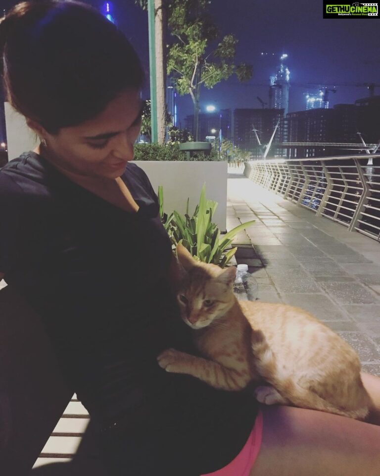 Parvathy Omanakuttan Instagram - It has been exactly four months since I came into Dubai (landed here on my birthday 🎂 13th March 2020). As much as I have missed my family & friends back home, their health and well-being is what has kept me going. In a city where I haven’t stayed for more than a few days, I never thought I would spend so much time. @dubai has been an Absolute Blessing the last four months where I got to spend so much of quality time with my beau 🥰 and make some amazing new friends. Dubai also gave me the opportunity to learn so many more things and make me realise I can do so much more. Thank you @jwmarriottmarquisdubai for being our home away from home during this time 🙂 I also made some new four legged friends in the most beautiful way. This little guy here , we named Ginger. He is The most handsome cat with the most charming personality in the area. 🐈 We feed a few other cats in the neighbourhood when we go for our evening walks, but Ginger is our favourite 🥰 He walked up to me the other day and plonked himself in my lap and started purring. I was so overwhelmed that I had tears in my eyes. It takes a lot of trust for stray animals especially cats to warm up to this level with any humans. I have seen cats walking upto people and rubbing themselves against your legs but Ginger took me by surprise. These little moments give me joy, hope and love to treasure for life! 🥰😇 #gingercat #dubailife #hope #love #joy #lifeisagift (P.S. I don’t have my mask 😷 on, in the pic because we were taking a short break after our exhausting run 🏃‍♀️. Please don’t be irresponsible 🙏 Wear your masks when you step out) Dubai, United Arab Emirates