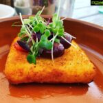 Parvathy Omanakuttan Instagram – Saganaki 💖 
The word ‘saganaki’ in Greek means ‘little frying ‘ and it is also the name given to the grilling cheese famously fried and flambéed in a saganaki and popular all over Greece as a shared starter. … ‘Halloumi’ is the Cypriot version of saganaki. It goes a bit darker when you fry it, and squeaks when you chew it.

The cheese used in cheese saganaki is usually graviera, kefalograviera, halloumi, kasseri, kefalotyri, or sheep’s milk feta cheese. Regional variations include the use of formaela cheese in Arachova, halloumi in Cyprus, and vlahotiri in Metsovo.
#weekendvibes #saganaki #tastebuds #foodieforlife😋 Shimmers