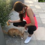 Parvathy Omanakuttan Instagram - First He Said I Was Crazy 😜 ; Then He Frowned 😒Seeing Me Feed My Four Legged Friends. But One Day He Bought Loads Of Food For Them 🤩. And Now Every Evening He Gets Excited And Says “Let’s Go Feed Our Kitties”... Little Joys Of Life I Say❤️ Thank You Love @ronaks1111 For Bringing That Smile On My Face Each Evening When I Get To Feed “Our” Kitties 🐱 😁🥰 #littlejoysoflife #feedingtheneedy #itsthetimetoshare