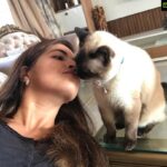 Parvathy Omanakuttan Instagram - ❤..... Animals over Humans- Anyday!!!! 😽😸😻 #jaadukipuppy #jaadukijhappi #siamesecat #siamesecatsofinstagram #catlover #catwoman