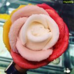 Parvathy Omanakuttan Instagram - Life is Better with Mi Amor ❤️ and Amorino 🍦🤪❤️🥰 #foodieforlife #sorbet #amorinogelato #mango #lemon #strawberry #raspberry #litchi