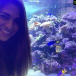 Parvathy Omanakuttan Instagram – Finding My Dory 🐟@dubaiunderwaterzoo