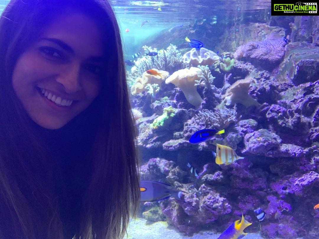 Parvathy Omanakuttan Instagram - Finding My Dory 🐟@dubaiunderwaterzoo