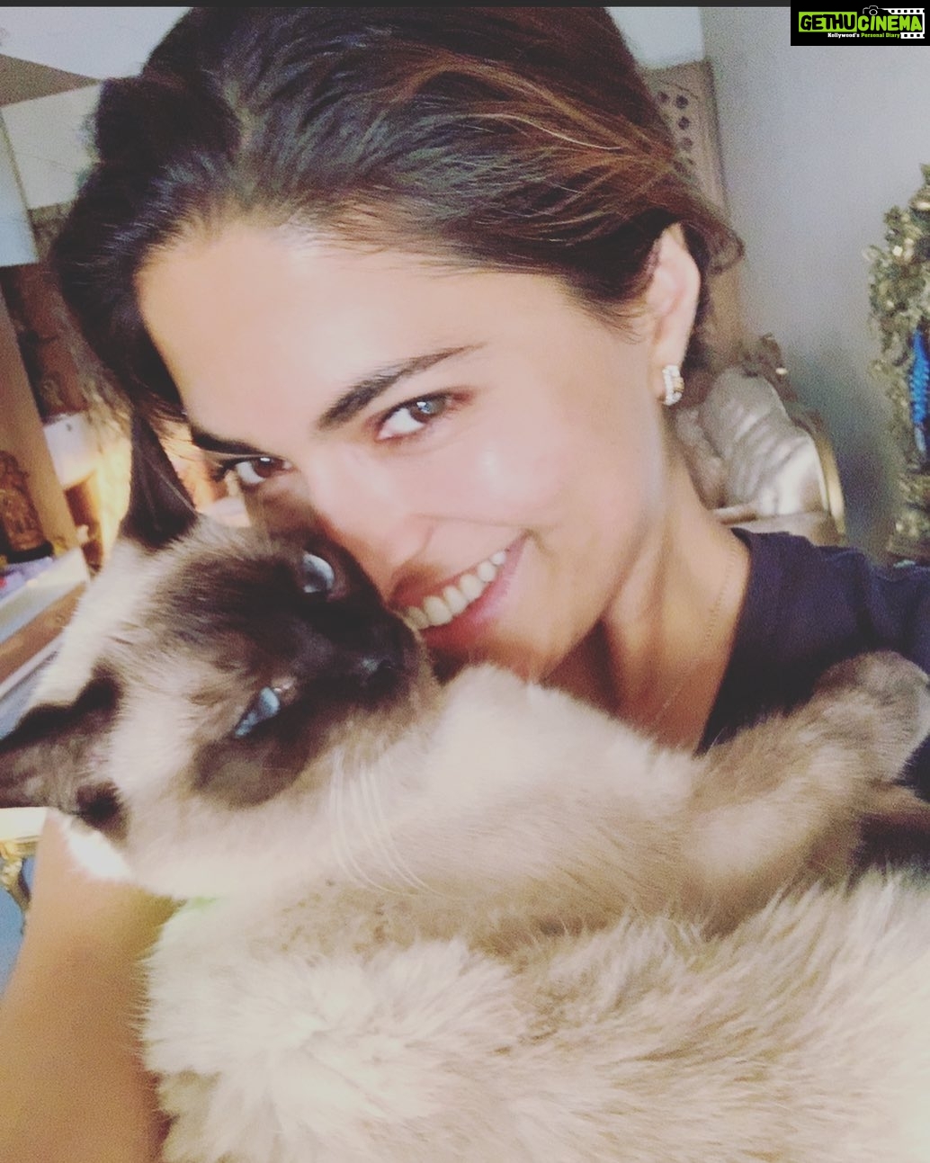 Parvathy Omanakuttan Instagram - Feels like home πΊπΈπ»πΌπ½ #jaadukijhappi #jaadumerijaan #jaadu
