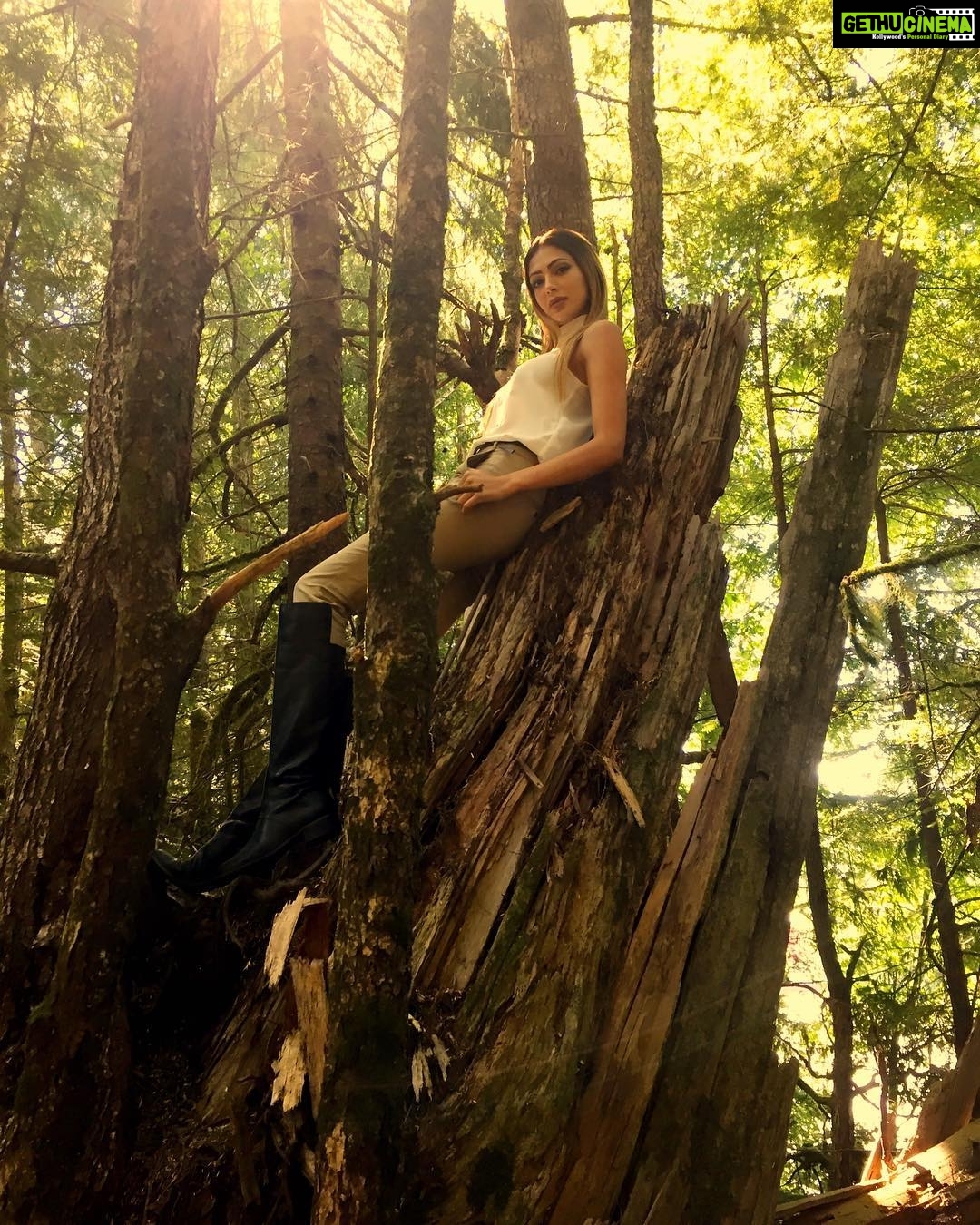 Parvati Melton Instagram - #rainforest #saxmantotempark #nature #Alaska #travel #traveler #travelblogger #traveldiaries #travelalaska #traveladdict #wildlife #picoftheday #bestofday #fashion #fashionblogger #fashionista #style #streetstyle #styleblogger #ootd #lookoftheday #model #alaskan #follow4follow #follow4follow #instafashion #instamoment #instafollow #tweegram #fashionphotography #photography Saxman Native Village