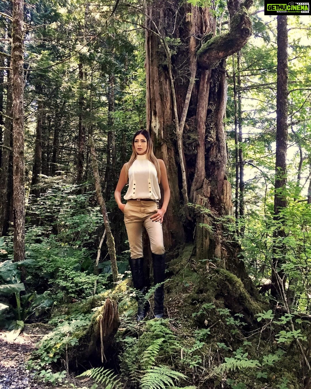 Parvati Melton Instagram - #rainforest #saxmantotempark #nature #Alaska #travel #traveler #travelblogger #traveldiaries #travelalaska #traveladdict #wildlife #picoftheday #bestofday #fashion #fashionblogger #fashionista #style #streetstyle #styleblogger #ootd #lookoftheday #zara #model #alaskan #follow4follow #follow4follow #instafashion #instamoment #instafollow #tweegram Saxman Totem Park