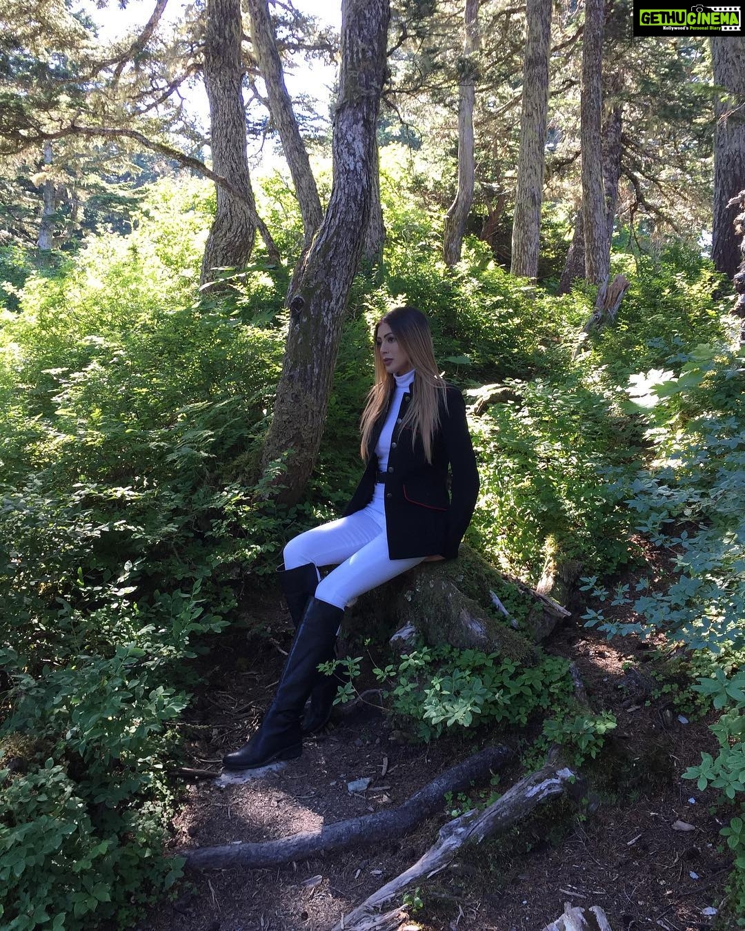 Parvati Melton Instagram - No filters needed πππ#Alaska #forest #rainforest #moutain #mountroberts #juneau #travel #traveldiaries #jetsetter #travelblogger #nature #naturelover #adventure #worldtraveler #america #picoftheday #bestofday #ootd #lookoftheday #streetstyle #fashion #style #fashionblogger #styleblogger #follow4follow #followforfollow #outdoors #phototheday #alaskan #photography Goldbelt Tram