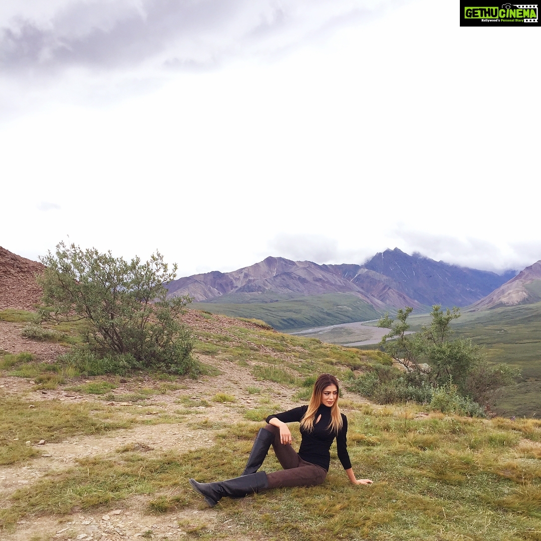 Parvati Melton Instagram - Striking a pose in beautiful Alaska π¦
π¦π»π²π³πΏπ #Alaska #denali #denalinationalpark #denalinationalparkandpreserve #travelalaska #travel #travelblogger #traveldiaries #picoftheday #bestofday #photography #nature #outdoors #adventure #hike #treck #wildlife #follow4follow #followforfollow #instamood #alaskan #instagood #instafollow #pose #strikeapose Denali National Park and Preserve