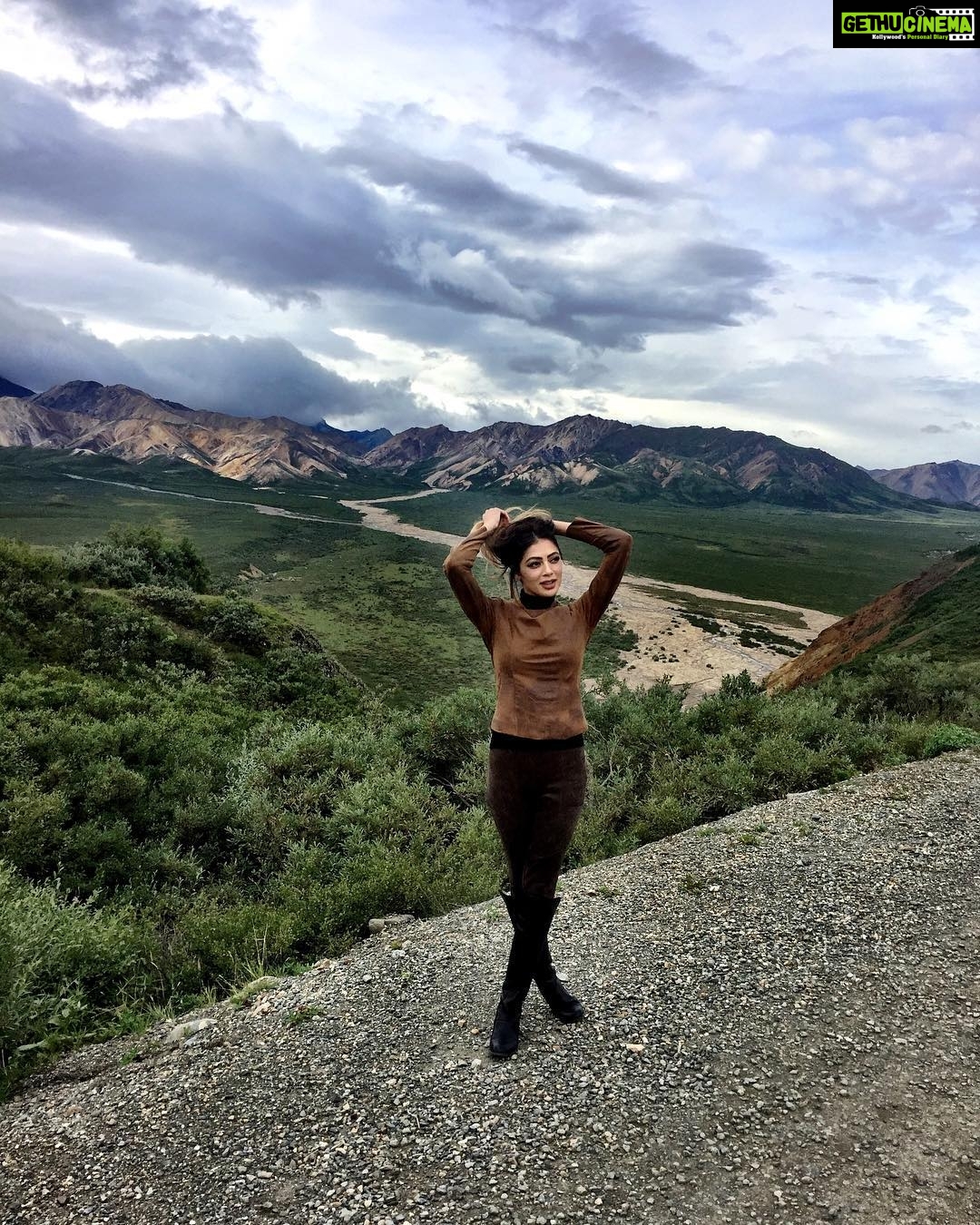 Parvati Melton Instagram - #Alaska #tekalanika #denali #denalinationalpark #denalinationalparkandpreserve #travel #traveldiaries #jetsetter #travelblogger #nature #naturelover #adventure #worldtraveler #usa #america #picoftheday #bestofday #ootd #lookoftheday #streetstyle #fashion #style #fashionblogger #styleblogger #mood #follow4follow #followforfollow #photography #phototheday Toklat River