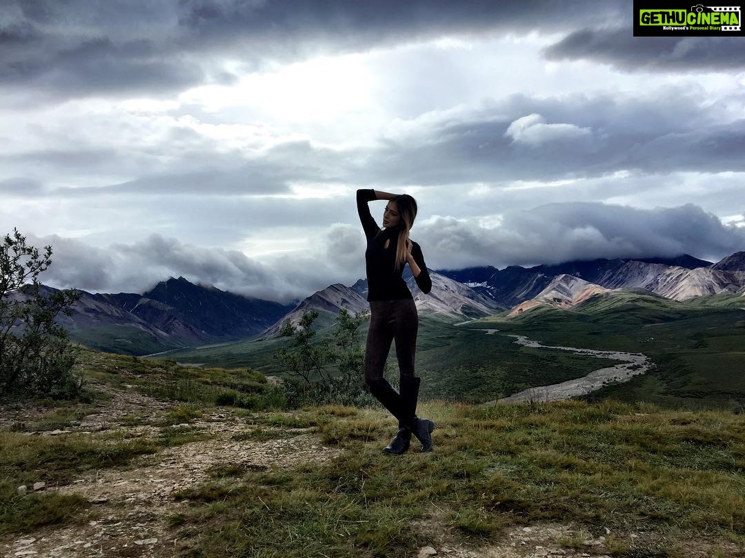 Parvati Melton Instagram - #Alaska #tekalanika #denali #denalinationalpark #denalinationalparkandpreserve #travel #traveldiaries #jetsetter #travelblogger #nature #naturelover #adventure #worldtraveler #usa #america #picoftheday #bestofday #ootd #lookoftheday #streetstyle #fashion #style #fashionblogger #styleblogger #mood #follow4follow #followforfollow #kantishna #hike #photography Kantishna Roadhouse