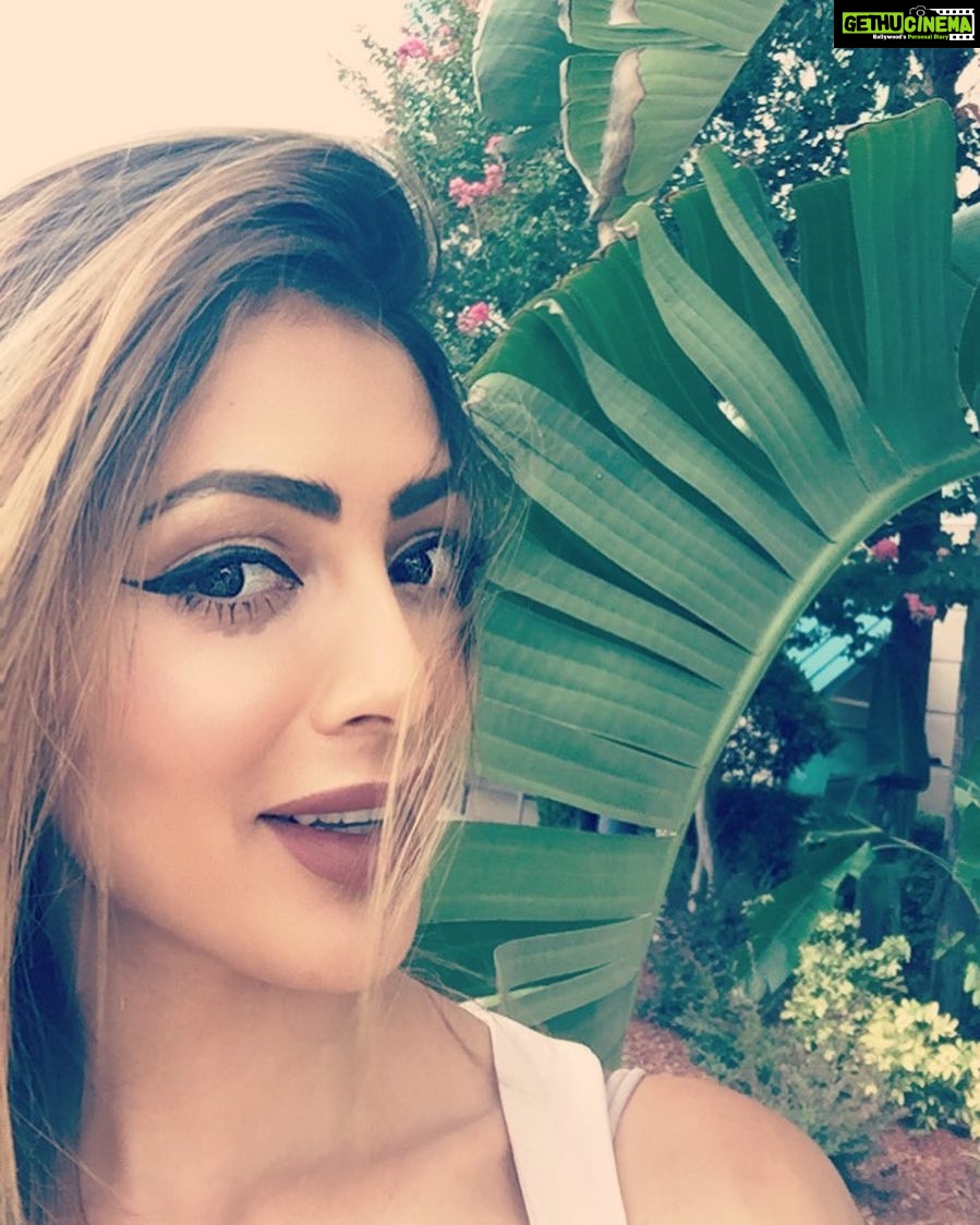 Parvati Melton Instagram - ☀️🌴GM #goodmorning #picoftheday #bestofday #selfie #Miami #palmtrees #californiagirl #hashtagqueen #mood #instamood #instagood #instaframe #instamoment #candid #instafollow #instalikes #travel #fashion #style #lifestyle #florida #summer #summer2017 #tweegram #tflers #german #indian #follow4follow #followforfollow #phototheday Miami, Florida