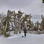 Parvati Melton Instagram - 💙#Happyplace💙 #California #Tahoe #heavenly #heavenlymountain #heavenlyskiresort #ski #sports #sport #snow #travel adventure #picoftheday #bestoftheday ##laketahoe #smith #northface #californialove #californiaadventure #californialiving #californiagirl #fashionista #like4like #follow4follow #2018 #nature #photography #forest #woods #mountain #tree #vegan #veganpower #traveller #snow #jetsetter #nevada #skibunny #skislopes #skitime Heavenly Mountain