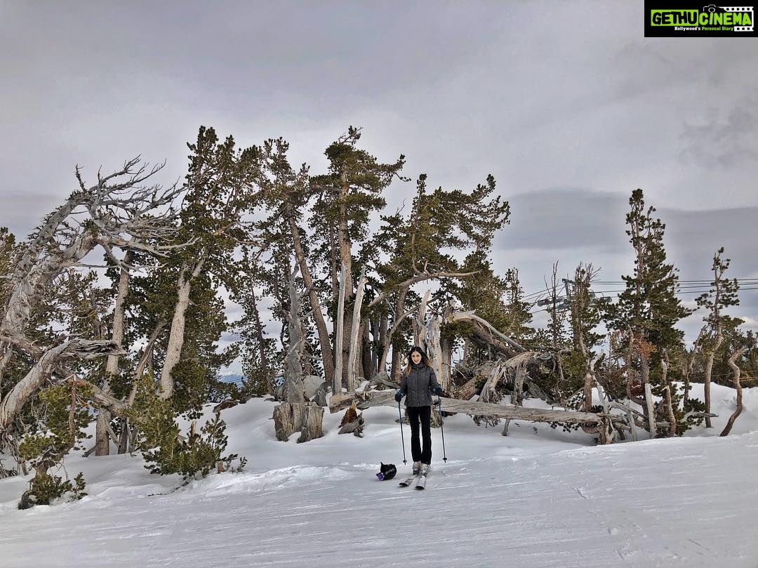 Parvati Melton Instagram - đź’™#Happyplaceđź’™ #California #Tahoe #heavenly #heavenlymountain #heavenlyskiresort #ski #sports #sport #snow #travel adventure #picoftheday #bestoftheday ##laketahoe #smith #northface #californialove #californiaadventure #californialiving #californiagirl #fashionista #like4like #follow4follow #2018 #nature #photography #forest #woods #mountain #tree #vegan #veganpower #traveller #snow #jetsetter #nevada #skibunny #skislopes #skitime Heavenly Mountain