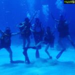 Parvati Melton Instagram – Amazing day diving in the Keys! #summerfun #summer #diving #instafollow #sharks #silentworlddivecenter #floridakeys #florida #keywest #keylargo #ocean #friends #diver #padi #bikini #MiamiLife #Miami #follow4follow #followforfollow #picoftheday #bestofday #instalikes #travel #traveler #travelblogger #luxury #lifestyle #adventure #sports #fitness Silent World Dive Center