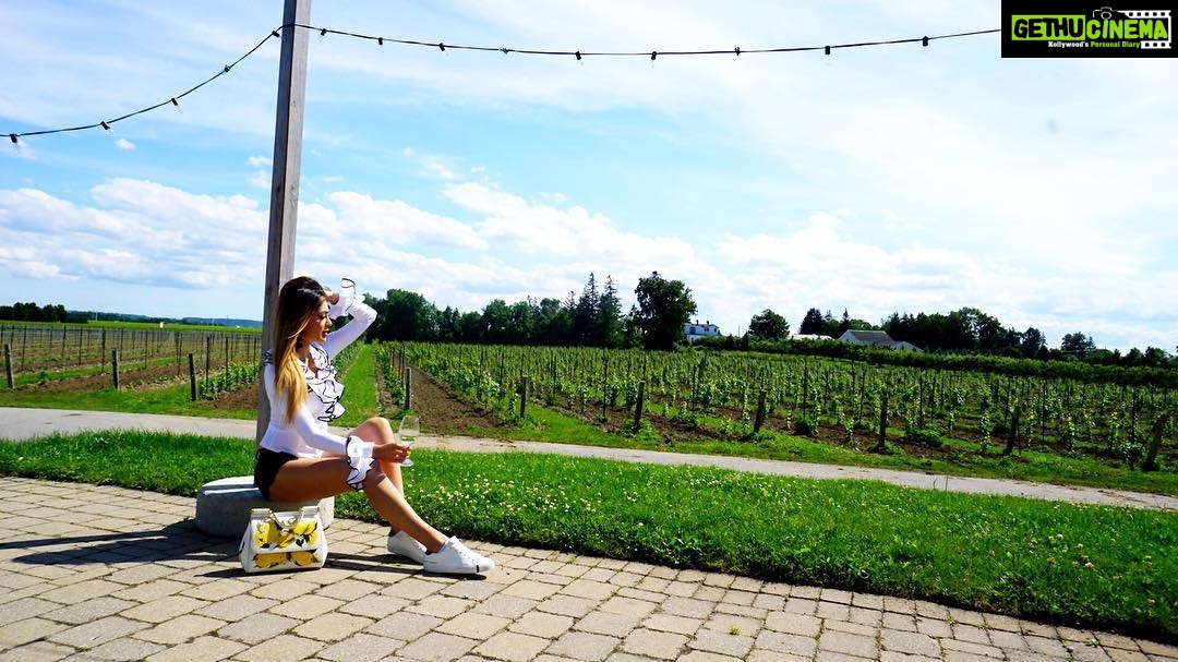Parvati Melton Instagram - 🥂#canada150 #canada🇨🇦 #canada #canadian #wine #vineyard #pellarestates #toronto #photography #fashion #fashionista #fashionblogger #lifestyle #travel #travelblogger #travelphotography #luxury #lookoftheday #follow4follow #followforfollow #instafollow #instamoment #style #stylista #styleblogger #niagraonthelake #triuswinery Peller Estates