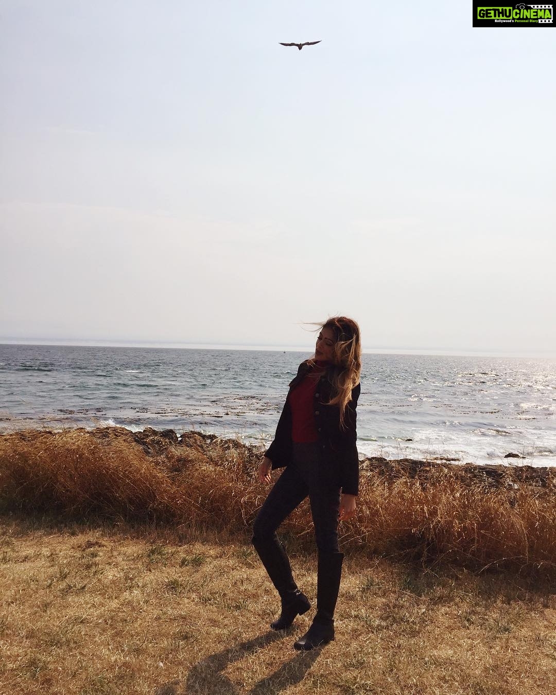 Parvati Melton Instagram - π¨π¦π¨π¦π¨π¦ #Canada #Canadian #Victoria #britishcolumbia #picoftheday #bestoftheday #travel #traveller #travelblogger #travelphotography #photography #fashion #fashionista #fashionphotography #beach #ocean #harbor #cloverpointpark #style #natural #nature #followforfollow #follow4follow #instafollow #german #indian #candid #tflers #instamood Clover Point Park, Victoria, British Columbia
