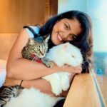 Pooja Devariya Instagram - Love my booboos x ♾ #rumi #layla #catsofinsta 🐱