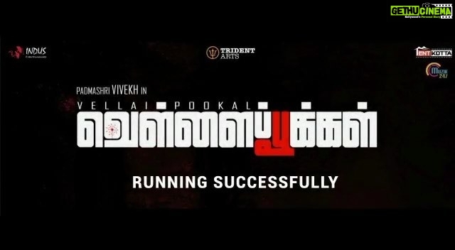 Pooja Devariya Instagram - VELLAIPOOKAL | REVIEWS . Running successfully in a theatre near you! Overwhelmed and sheer gratitude for the opportunities that come my way. #VellaiPookal . Heartiest congratulations to the team who’s passion and effort are being rewarded by everyone’s praise across the globe. @vivek_e @jerald.peter @tentkottaofficial @itstridentarts @dhighasekaran . #kollywood #cinema #crime #crimescene #thriller #crimethriller #movie #actor #indiancinema #seattle #nri #india #police Seattle, Washington